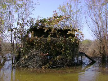 DIY duck blind, DIY hunting and fishing projects
